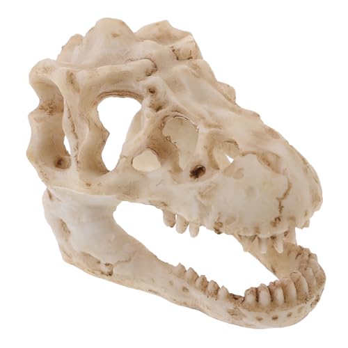 Gatuida Dinosaurier-schädel-figur Dinosaurier-schädel-modell Für Sammler Und Harzmaterial Gatuida Dinosaurier-schädel-figur Dinosaurier-schädel-modell Für Sammler Und Harzmaterial von Gatuida