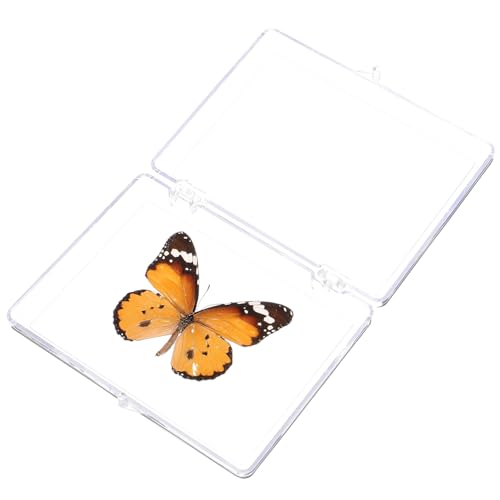 Gatuida Schmetterlings-Exemplar Schmetterlingsnetz schmetterling party dekorationen schmetterling wandaufkleber insektenbox insekten box Wandhängung Ornament Musterdekor ausstellen Plastik Gatuida Schmetterlings-Exemplar Schmetterlingsnetz schmetterling party dekorationen schmetterling wandaufkleber insektenbox insekten box Wandhängung Ornament Musterdekor ausstellen Plastik von Gatuida