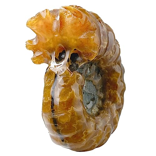 Gatuida Schneckenfossil ästhetische Raumdekoration Anlage Neon für den einzug bürodeko bescherung weihnachten rinestones Kristallstein schmücken kleiner Steindekor von Gatuida