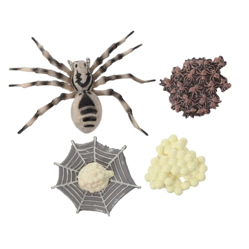 Gatuida Simulation Tarantula Modell Realistische Wolfs spinne Figur Detailreiches Lernspielzeug für Umweltfreundliches Material Pädagogisches Insektenmodell für Schule und Museum Gatuida Simulation Tarantula Modell Realistische Wolfs spinne Figur Detailreiches Lernspielzeug für Umweltfreundliches Material Pädagogisches Insektenmodell für Schule und Museum von Gatuida
