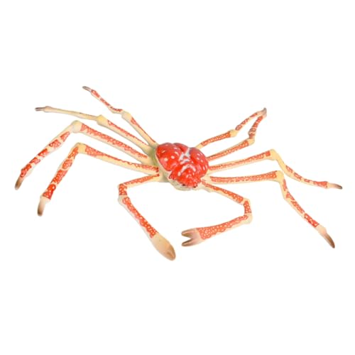 Gatuida Simuliertes Königskrabben Modell Meereslebewesen Tierfigur Lernspielzeug Pädagogisch Krabben Nachbildung Für Ab Jahren Gatuida Simuliertes Königskrabben Modell Meereslebewesen Tierfigur Lernspielzeug Pädagogisch Krabben Nachbildung Für Ab Jahren von Gatuida