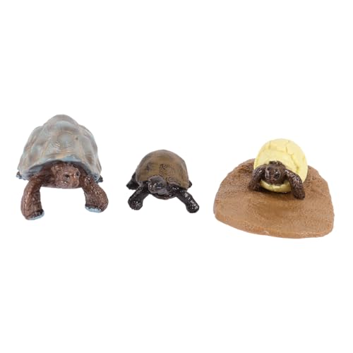 Gatuida Teiliges Schildkröten Wachstumszyklus Spielzeugset aus Kunststoff Pädagogisches Lernspielzeug zur Biologischen Entwicklung Lebensechte Tiermodell Figuren für Sicher und Gatuida Teiliges Schildkröten Wachstumszyklus Spielzeugset aus Kunststoff Pädagogisches Lernspielzeug zur Biologischen Entwicklung Lebensechte Tiermodell Figuren für Sicher und von Gatuida