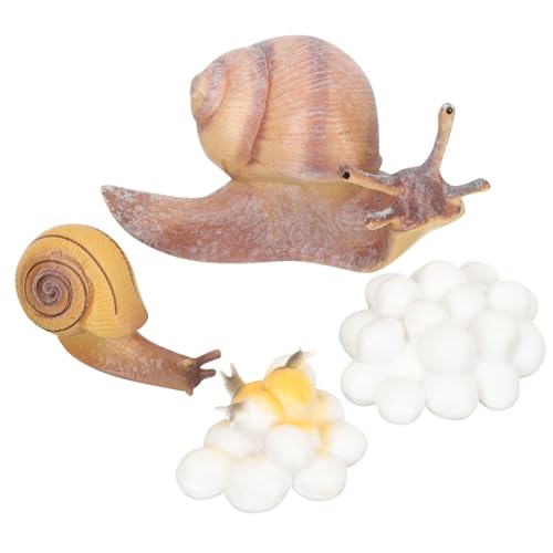 Gatuida Tiermodell mit Wachstumszyklus Pädagogisches Lernspielzeug für Jungen und Mädchen Realistische Entwicklungsphasen Montessori Tierkognitive Modelle Teiliges für Frühe Bildung von Gatuida