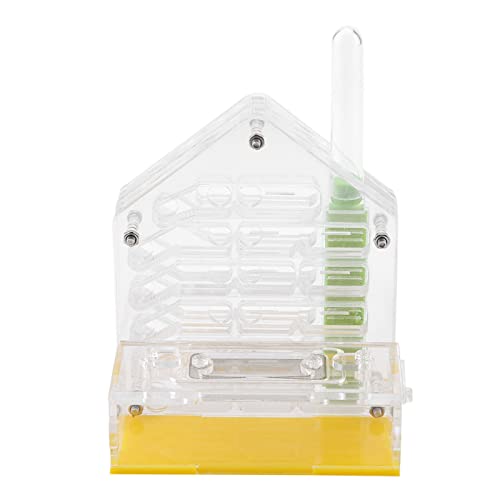 Gavigain DIY Farm Kit, Escape Proof, Robuste Acryl Konstruktion, Bildungs Wissenschaft liches Projekt für Kinder und Natur Liebhaber von Gavigain