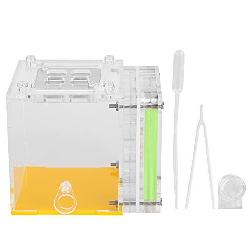 Gavigain Farm Kit, Bildungslebensraum, Acryl -Zuchtbox, atmungsaktives Netz, einfache Wartung, für Kinder und Naturlernen von Gavigain