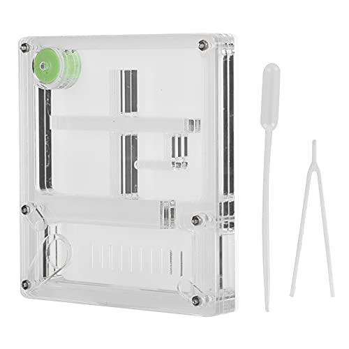 Gavigain tragbarer Farm Acrylbeobachtungslebensraum, kristallklar, Nicht, ideal für Kinder und Bildungswissenschaftlerin Gavigain tragbarer Farm Acrylbeobachtungslebensraum, kristallklar, Nicht, ideal für Kinder und Bildungswissenschaftlerin von Gavigain