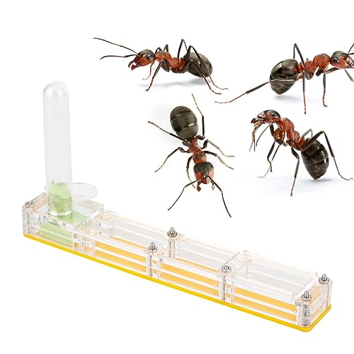 Zucht Haus Nest Formica rium Display Box Wasserturm Feuchtigkeit spendende leichte kompakte lustige Montage für Insekten Fans (Yellow Nest) von Gavigain
