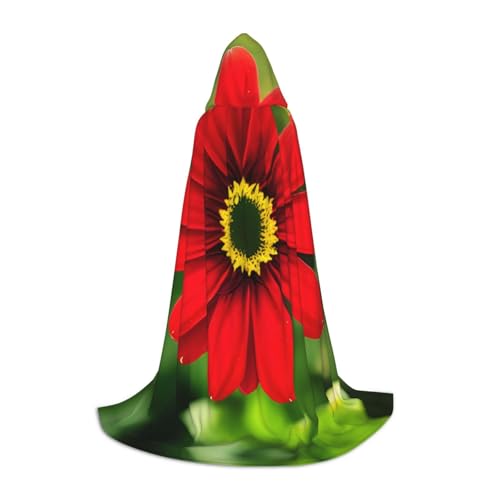GaxfjRu Mittelalterlicher Kapuzenumhang mit roter Blume, Umhang mit Kapuze, für Herren, Halloween, Renaissance-Kostüm, Wikinger-Stil GaxfjRu Mittelalterlicher Kapuzenumhang mit roter Blume, Umhang mit Kapuze, für Herren, Halloween, Renaissance-Kostüm, Wikinger-Stil von GaxfjRu