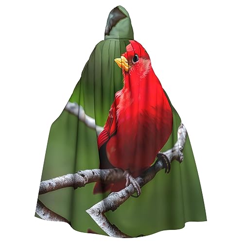 GaxfjRu Wunderschöner roter Kapuzenumhang mit Vogelaufdruck, mittelalterlicher Wikingerumhang mit Kapuze, Halloween, Renaissance-Umhang GaxfjRu Wunderschöner roter Kapuzenumhang mit Vogelaufdruck, mittelalterlicher Wikingerumhang mit Kapuze, Halloween, Renaissance-Umhang von GaxfjRu