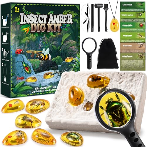 Spielzeug ab 5-12 Jahre Jungen, Geebiiny Fossilien Ausgrabungsset für Kinder Spiele ab 6-12 Jahre Geschenk Junge 5 6 7 8 9 10 11 Jahre Edelsteine Ausgraben Experimente Ostergeschenke Kinder Spielzeug ab 5-12 Jahre Jungen, Geebiiny Fossilien Ausgrabungsset für Kinder Spiele ab 6-12 Jahre Geschenk Junge 5 6 7 8 9 10 11 Jahre Edelsteine Ausgraben Experimente Ostergeschenke Kinder von Geebiiny