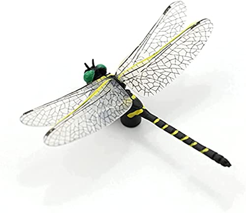1 x Libellenfiguren, Simulations-Libellen-Modell, wiederverwendbar, Kunststoffmodell, realistische Libellen-Ornament für pädagogische und pädagogische Schuhe, Medium, Andere Edelsteine 1 x Libellenfiguren, Simulations-Libellen-Modell, wiederverwendbar, Kunststoffmodell, realistische Libellen-Ornament für pädagogische und pädagogische Schuhe, Medium, Andere Edelsteine von Generic