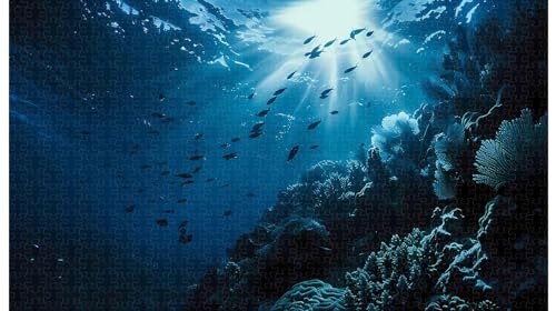 1000-teiliges Holzpuzzle, Eine Gruppe Kleiner Fische schwimmt im Meer (D ; 1000 Piece) von Generic