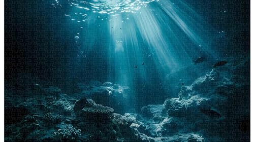 1000-teiliges Holzpuzzle, Tyndall Effect Coral Theater, Meeresboden-Geologie-Kunstpuzzle (A ; 1000 Piece) von Generic