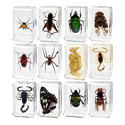 12Pcs Echtes Tier in Harz Pädagogisches Spielzeug für Geschenke Jungen Und Mädchen Kinder 12Pcs Echtes Tier in Harz Pädagogisches Spielzeug für Geschenke Jungen Und Mädchen Kinder von Generic