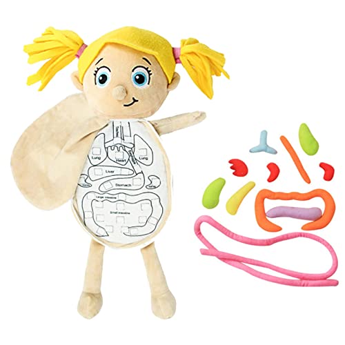 3D-Orgel-Plüschspielzeug | Spielzeugmodell Squeeze Toy Doll Parts Lernspiel von Generic