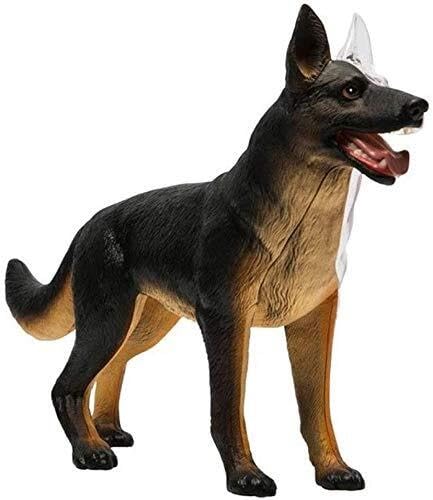 4D Vision-Hund Anatomie Modell, Wolf-Hund Skeleton Anatomy Versammlungs-Modell, 29 Stück abnehmbare Organe Körperteile für Medizinisches Training Montage Spielzeug von Generic