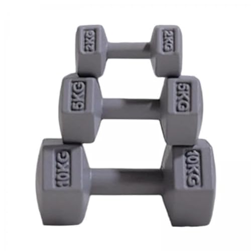 4X 3X Sport Spielset Miniatur Langhantel Puppenhaus Zubehör Mikro Landschaft Dekor Miniatur Hanteln für Alter 3 4 5 6 7 8 von Generic