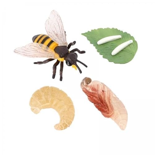 5X Lebenszyklus Der Biene Spielzeug Kognitiven Tierwachstumszyklus Figur Geburtstagsgeschenk 5X Lebenszyklus Der Biene Spielzeug Kognitiven Tierwachstumszyklus Figur Geburtstagsgeschenk von Generic