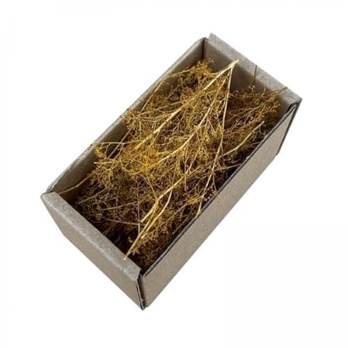 5X Realistische Miniatur Graslandschaft mit Buschigem, Modell Feengarten Geländebau für Eisenbahnen, Züge, Dioramen, Feengarten 5X Realistische Miniatur Graslandschaft mit Buschigem, Modell Feengarten Geländebau für Eisenbahnen, Züge, Dioramen, Feengarten von Generic