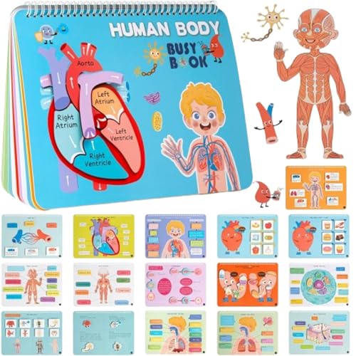 Aktivitätsbuch der menschlichen Anatomie – Aktivitätsbuch Des menschlichen Körpers für Kinder, Anatomiespielzeug für Kinder | Faszinierendes Lernbuch über den menschlichen Körper für Kinder, Aktivitätsbuch der menschlichen Anatomie – Aktivitätsbuch Des menschlichen Körpers für Kinder, Anatomiespielzeug für Kinder | Faszinierendes Lernbuch über den menschlichen Körper für Kinder, von Generic