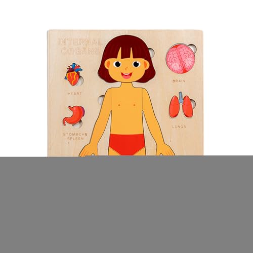 Anatomie Für Kinder - Holz Lernpuzzle Körper | Lernspielzeug Für Kleinkinder Unterwegs Spielen Lernen Krankenhaus Kind Schule von Generic