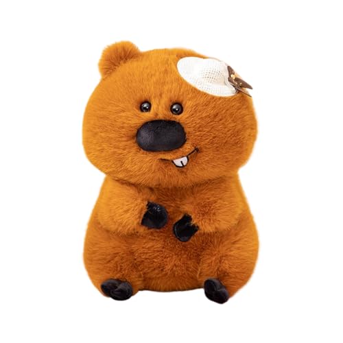 Anime-Plüschpuppen. Verwandeln Sie mit diesen Anime-Plüschpuppen jeden Raum in einen wunderlichen Zufluchtsort. Niedliche kleine Biberpuppe, Kuscheltiere, Begleitpuppe für Kinder, Schlafkissen, weiche Anime-Plüschpuppen. Verwandeln Sie mit diesen Anime-Plüschpuppen jeden Raum in einen wunderlichen Zufluchtsort. Niedliche kleine Biberpuppe, Kuscheltiere, Begleitpuppe für Kinder, Schlafkissen, weiche von Generic