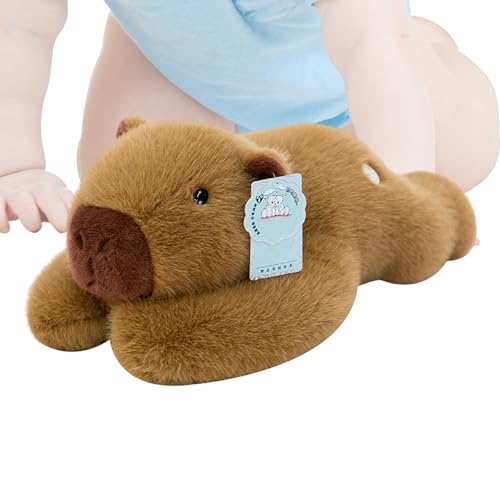 Capybara Plush Toy - Capybara Plush | Gefüllte Tierpuppe | Capybara Figuren | Geburtstagsgeschenk des umarmten Kissens | Capybara Boll für Geburtstagsgeschenke | Anim von Generic