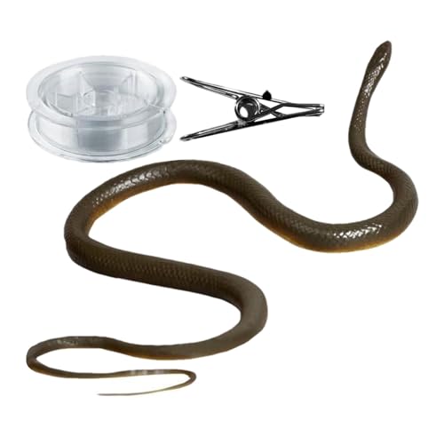 Clip Snake Stank, Schlange A String String - Realistische Schlange,Golf gefälschte Schlange mit Schnur und Clipsimulation gefälschte Snake Spielzeug Snake A String String Lustige Spielzeugschlange Clip Snake Stank, Schlange A String String - Realistische Schlange,Golf gefälschte Schlange mit Schnur und Clipsimulation gefälschte Snake Spielzeug Snake A String String Lustige Spielzeugschlange von Generic