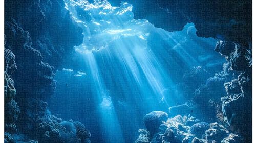 Cool-Light Cave Coral Community: Unterwasseroptik-Puzzle, 1000 Teile (A ; 1000 Piece) von Generic