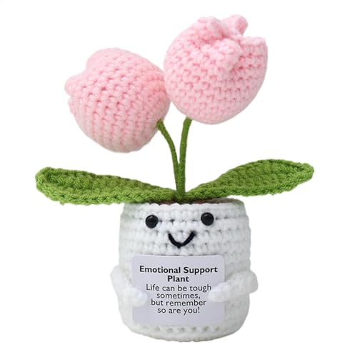 Crochet Plants - Emotional Support Plant | Emotional Flower Crochet Doll for Men Women Knitting Doll with Positive Card | Cute Emotionall Support Flower for Home Office Desk Car Decoration von Generic