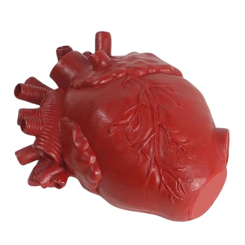 Dekorative Herzvase - Kreative Herzförmige Skulptur Vase - Anatomische Tischplatte Dekoratives Handwerk Für Bauernhof Wohnzimmer Schlafzimmer Arbeitsplatte von Generic