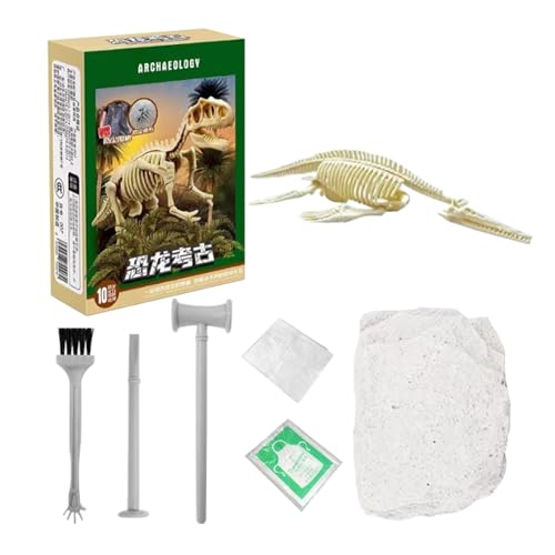 Dinosaurier-Ausgrabungsset – Kreide, Armierbares Skelett, Größe für kleine Kinder, Entdeckungsspielzeug | fossiles Lernset mit Werkzeugen zum Lernen und Dekorieren von Regalen von Generic