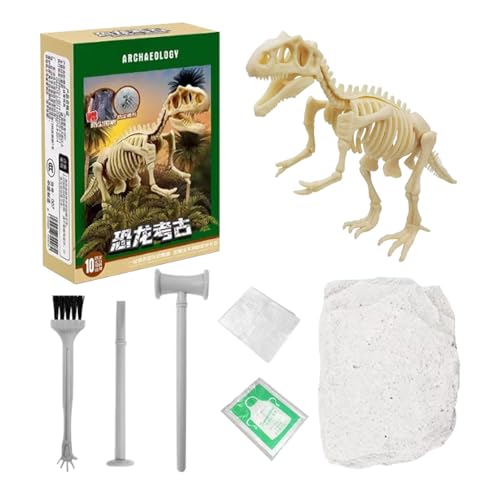 Dinosaurier-Ausgrabungsset – Kreide, Armierbares Skelett, Größe für kleine Kinder, Entdeckungsspielzeug | fossiles Lernset mit Werkzeugen zum Lernen und Dekorieren von Regalen von Generic