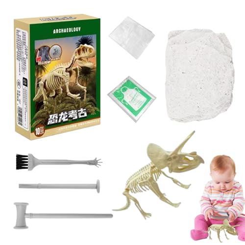 Dinosaurier-Ausgrabungsset - Skelett-Puzzle, Ausgrabungsspielzeug, Archäologie-Set | 3D-Fossilmodell mit Dinosaurierknochen zum Lernen der Wissenschaft zu Hause und im Klassenzimmer Dinosaurier-Ausgrabungsset - Skelett-Puzzle, Ausgrabungsspielzeug, Archäologie-Set | 3D-Fossilmodell mit Dinosaurierknochen zum Lernen der Wissenschaft zu Hause und im Klassenzimmer von Generic