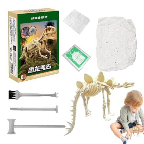 Dinosaurier-Ausgrabungsset - Skelett-Puzzle, Ausgrabungsspielzeug, Archäologie-Set | 3D-Fossilmodell mit Dinosaurierknochen zum Lernen der Wissenschaft zu Hause und im Klassenzimmer Dinosaurier-Ausgrabungsset - Skelett-Puzzle, Ausgrabungsspielzeug, Archäologie-Set | 3D-Fossilmodell mit Dinosaurierknochen zum Lernen der Wissenschaft zu Hause und im Klassenzimmer von Generic