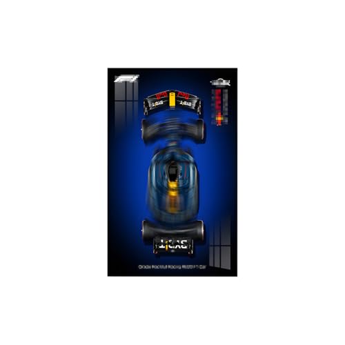 Display-Wandplatte für Lego Technic 42206 Rennwagen, Geschenk für Lego Fahrzeug-Wandhalterungs-Enthusiasten, nur Wandplatte! (Größe: 50 x 80 cm) (Style A) von Generic