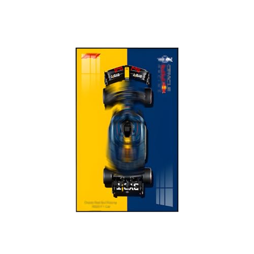 Display-Wandplatte für Lego Technic 42206 Rennwagen, Geschenk für Lego Fahrzeug-Wandhalterungs-Enthusiasten, nur Wandplatte! (Größe: 50 x 80 cm) (Style B) von Generic