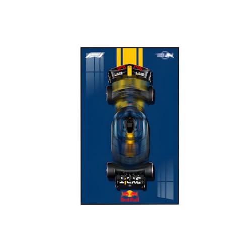 Display-Wandplatte für Lego Technic 42206 Rennwagen, Geschenk für Lego Fahrzeug-Wandhalterungs-Enthusiasten, nur Wandplatte! (Größe: 50 x 80 cm) (Style C) von Generic