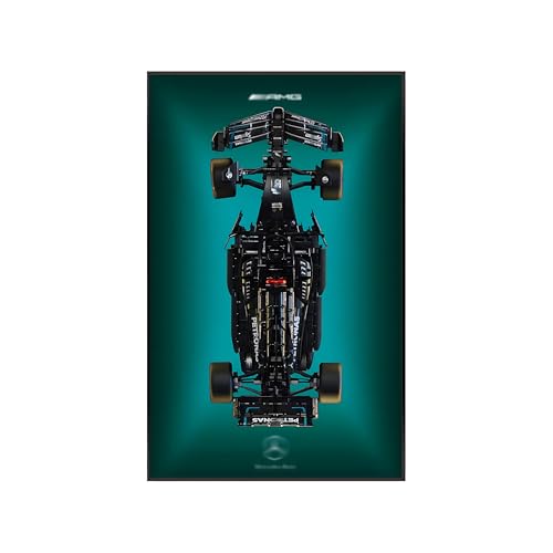 Display-Wandtafel kompatibel mit Lego 42141 Technic für McLaren Formel 1 Rennwagen, Geschenkideen für Lego F1 Auto-Wandmontage-Enthusiasten, nur Wandtafel (42171,Without Light) von Generic
