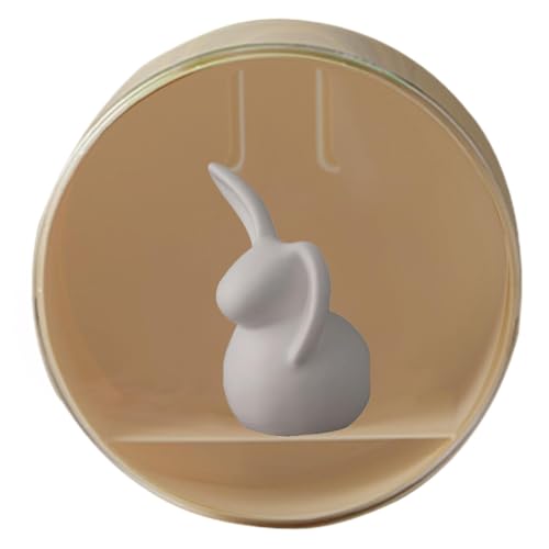 Displaywand für , Wanddisplay für | Transparente Vitrine für Figuren - Staubschutz-Displaybox, Displaybox für Actionfiguren Displaywand für , Wanddisplay für | Transparente Vitrine für Figuren - Staubschutz-Displaybox, Displaybox für Actionfiguren von Generic