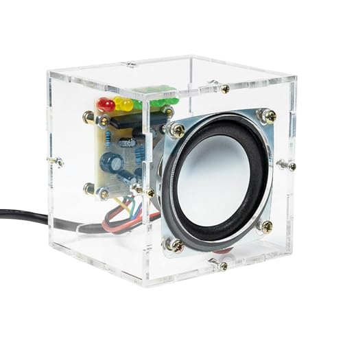 Elektronische Lautsprecher - Projekte für Erwachsene, elektronischer Sound Small | Wissenschaftliche Schulprojekte Wissenschaftliche Experimente Kit mit Spielzeug für die pädagogische Praxis von Generic