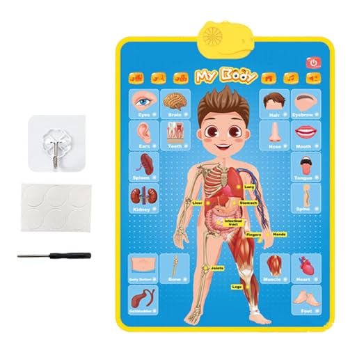 Elektronisches Alphabet Thaux Wände – Lern-Apposten, Wandtafel, elektronische Musik, Alphabet-Nummer, Wandbild, Speech Talking Wall Chart für und Mädchen Elektronisches Alphabet Thaux Wände – Lern-Apposten, Wandtafel, elektronische Musik, Alphabet-Nummer, Wandbild, Speech Talking Wall Chart für und Mädchen von Generic