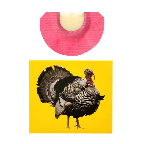 Extravagante Pfeifen, Tiergeräusche, lustige Vogelpfeifen, lautes Spielzeug, Noisemaker Spielzeug mit leuchtenden Farben, kreativ laut einzigartig und lustig für P Feiern von Generic