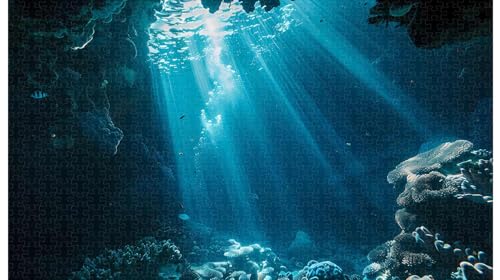 Fantasie-Unterwasserwelt, 1000 Teile Holzpuzzle für Erwachsene (D ; 1000 Piece) von Generic