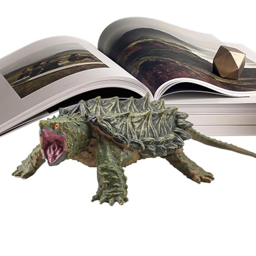 Figur – Figuren von S | Simulation SCAPPORT Turtle Skulptur, Dekoration zu Hause, Bevorzugung der Tiersammlung, Verbesserung der Wahrnehmung von Figur – Figuren von S | Simulation SCAPPORT Turtle Skulptur, Dekoration zu Hause, Bevorzugung der Tiersammlung, Verbesserung der Wahrnehmung von von Generic