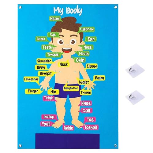 Filzbrett für Kleinkinder – 30 Stück Human Body Parts Lernpuzzles Kit | Eine Lerntafel aus Filz für frühes Lernen, sensorisches Spiel, präktive Aktivitäten von Generic