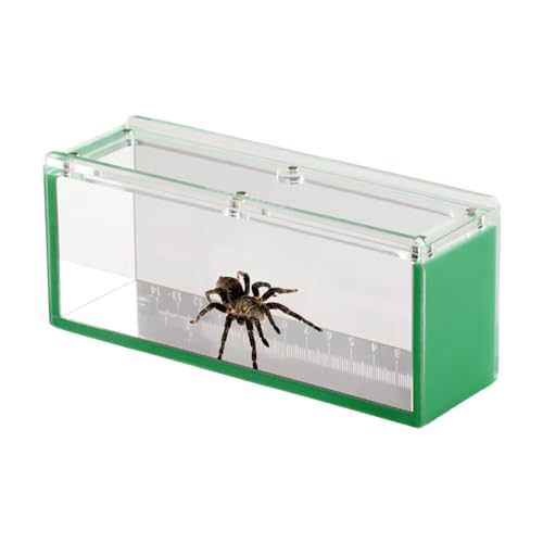 -Showdownbox, Fish Observation Box | Fischhaltebehälter mit Deckel und Skala - Aquarienzubehör für Krabben, Schnecken, Spinnen -Showdownbox, Fish Observation Box | Fischhaltebehälter mit Deckel und Skala - Aquarienzubehör für Krabben, Schnecken, Spinnen von Generic