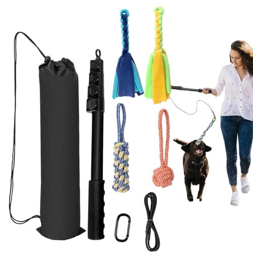 Flirt-Pfosten für Hunde – Seilzugspielzeug, interaktives Hund | Teaser-Stock, einziehbares Spielzeug für Hunde, Flirtstab für Training und Spiel von Generic