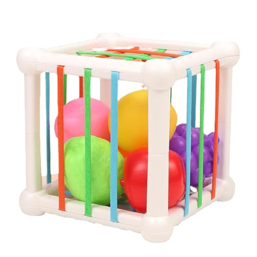 Formsortierbox – Formsortierspielzeug, sensorischer Obstspielzeug-Formsortierer | STEM-Spielzeug für Feinmotorik, pädagogische Lernaktivität für Kinder im Alter von 0–3 Jahren Formsortierbox – Formsortierspielzeug, sensorischer Obstspielzeug-Formsortierer | STEM-Spielzeug für Feinmotorik, pädagogische Lernaktivität für Kinder im Alter von 0–3 Jahren von Generic