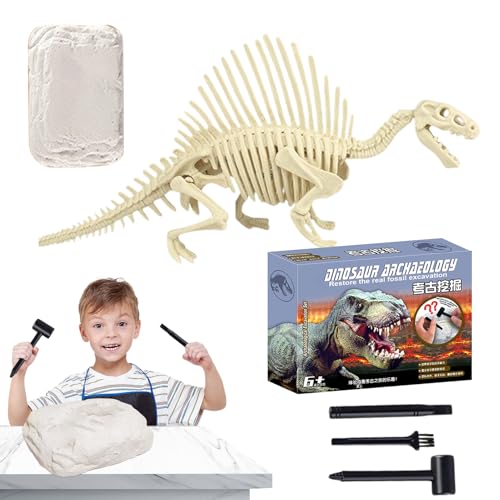Fossil-Ausgrabungsset, graben Sie ein Dinosaurier-Skelett aus und bauen Sie ein Dinosaurier-Skelett – wissenschaftliches Lernspiel für STEM mit praktischen Aktivitäten zum Erkunden und Spielerlernen Fossil-Ausgrabungsset, graben Sie ein Dinosaurier-Skelett aus und bauen Sie ein Dinosaurier-Skelett – wissenschaftliches Lernspiel für STEM mit praktischen Aktivitäten zum Erkunden und Spielerlernen von Generic
